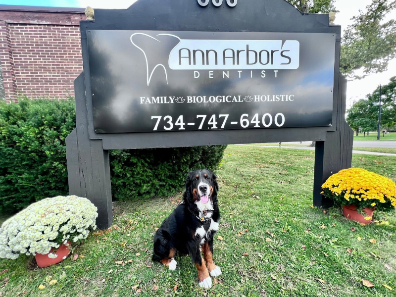 Ann Arbor's Dentist